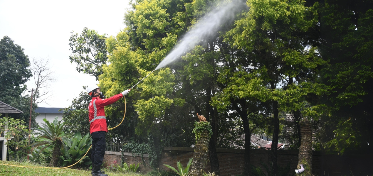 jasa fumigasi