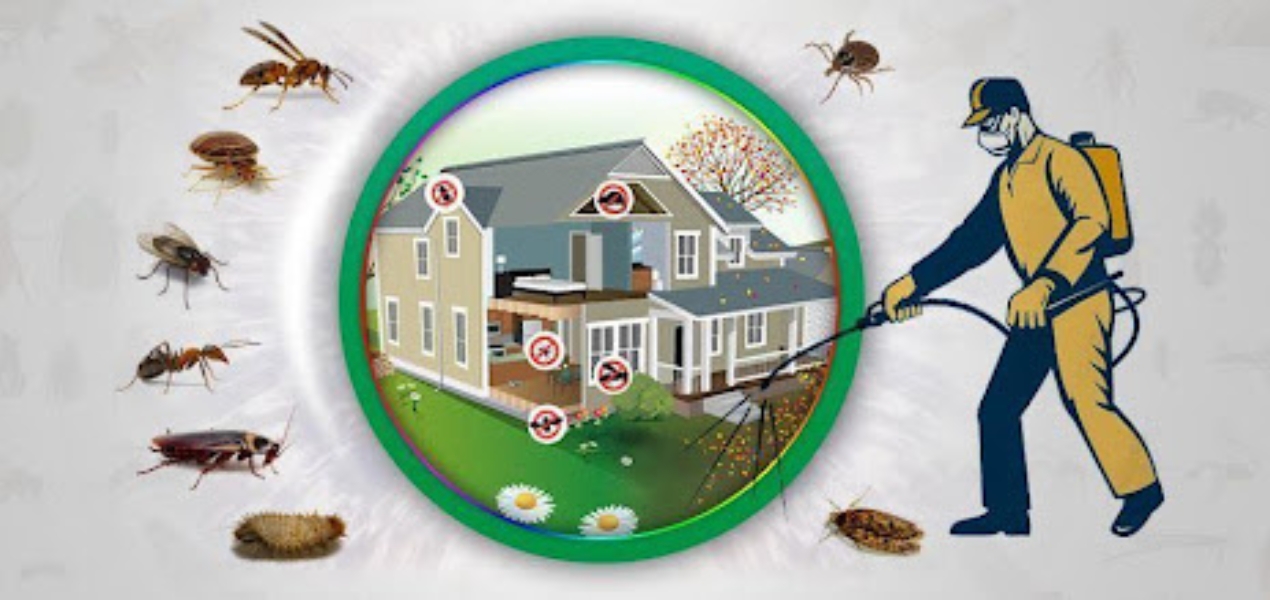 pest control jogja