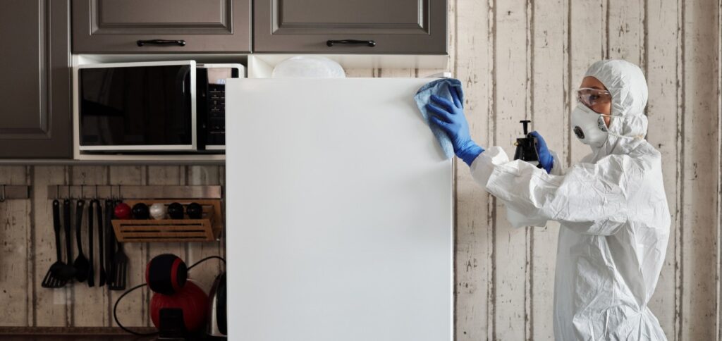 Wujudkan Lingkungan yang Bebas Serangga dengan Jasa Fumigasi