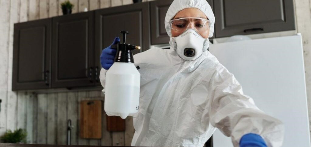 Jasa Fumigasi, Solusi Ampuh untuk Kontrol Hama Perusak